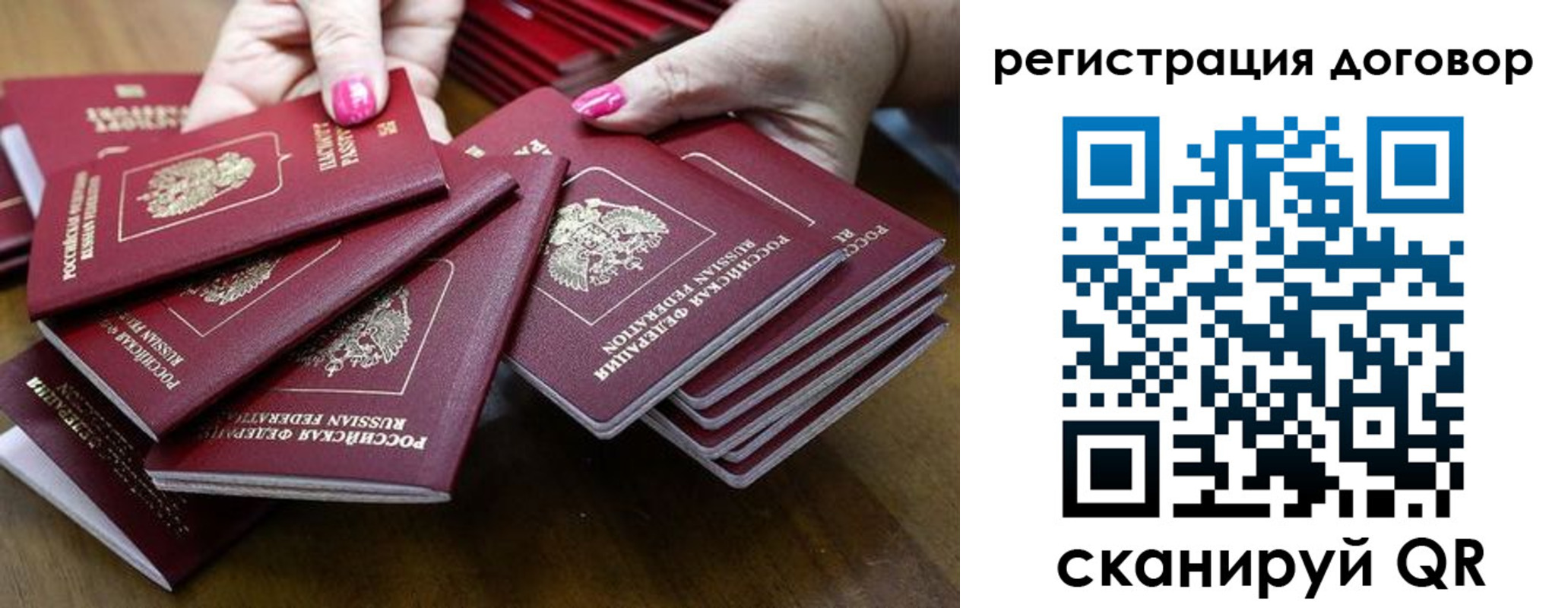 временная регистрация в Светлогорске